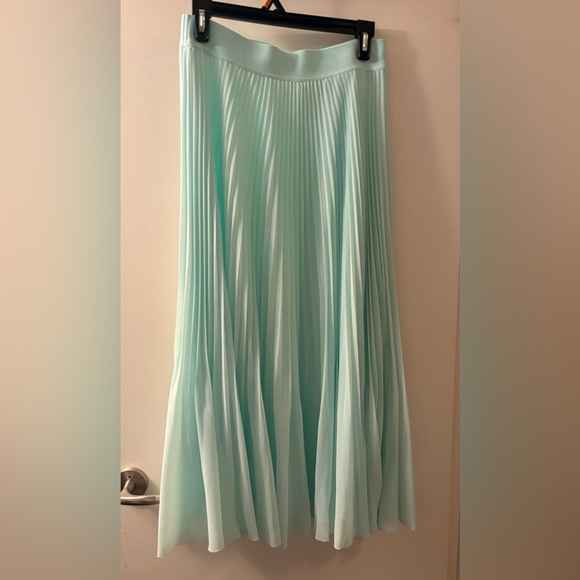 Mint Green Pleated Maxi Twirl Skirt - Picture 3 of 3